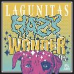 Lagunitas - Hazy Wonder 0 (62)