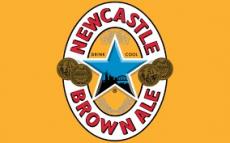 Newcastle - Brown Ale (227)