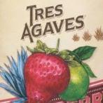 Tres Agaves - Strawberry Margarita Mix 0